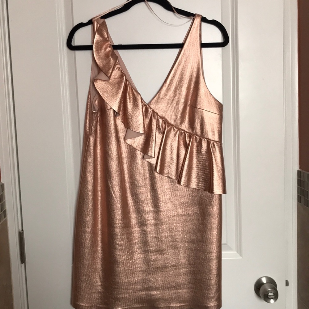 Zara - Rose gold dress